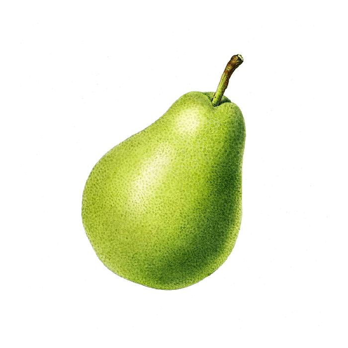 Contentpattern Pear 1