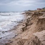 chatgpt image feb 14, 2026, 02 16 59 pm