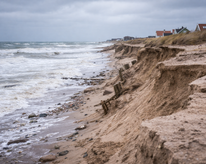 chatgpt image feb 14, 2026, 02 16 59 pm